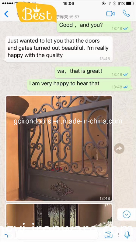 Exterior Wrought Iron Entry Doors with Tempered Glass